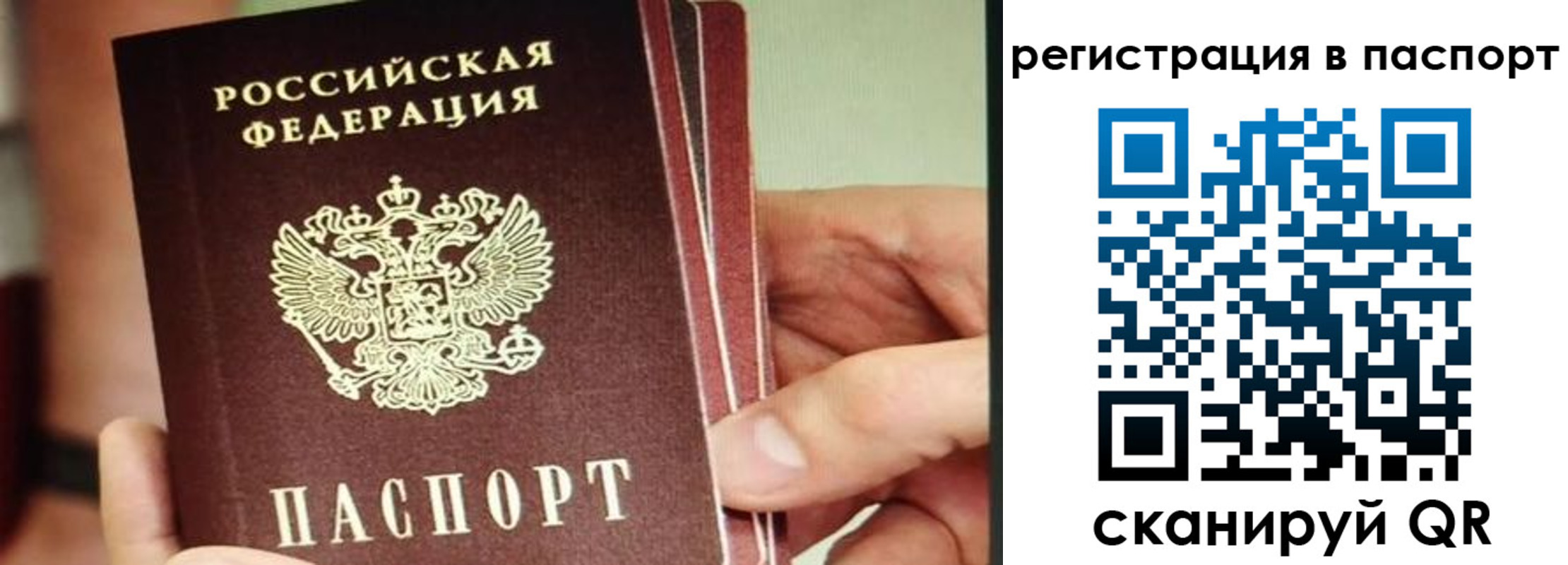 временная регистрация надежно в Вологде